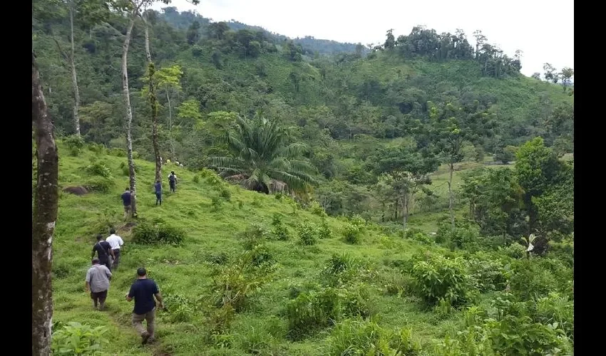 El tráfico de especies requiere  mayor  atención por parte de la población.