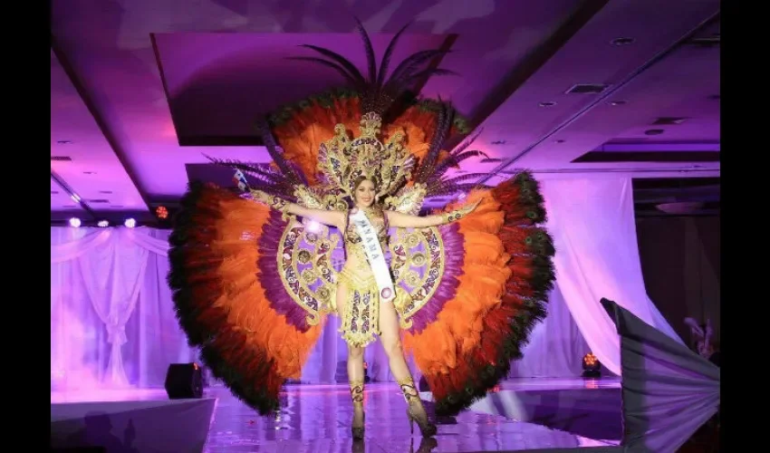 Vestido de fantasía. 