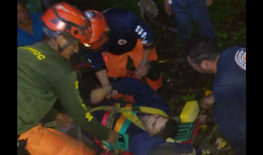 Se cae de árbol en Los Santos 