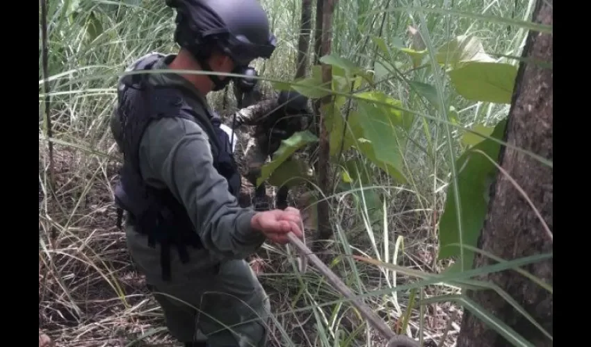 Encuentran cadáver en Arraiján 