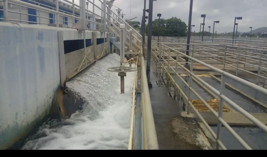 Planta Federico Guardia Conte del Iddan 