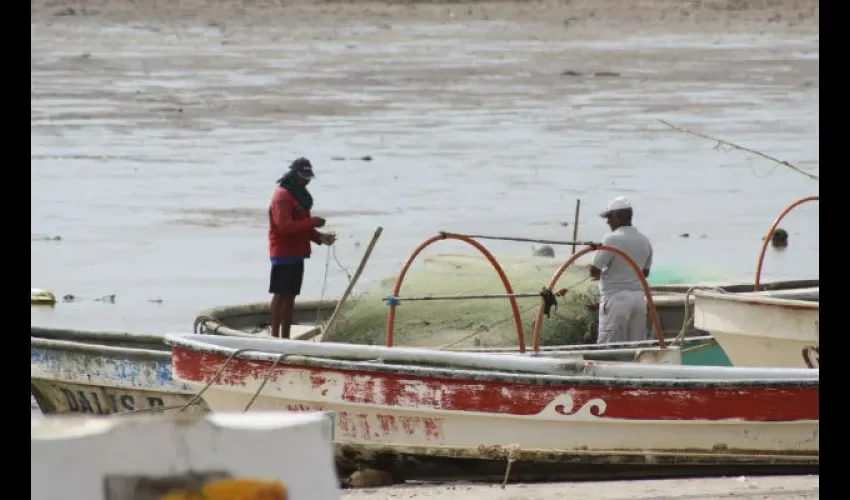 Pescadores de Puerto Caimito 