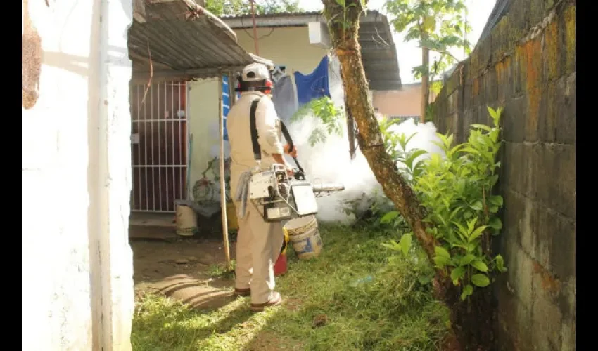 Dengue Y chikungunya