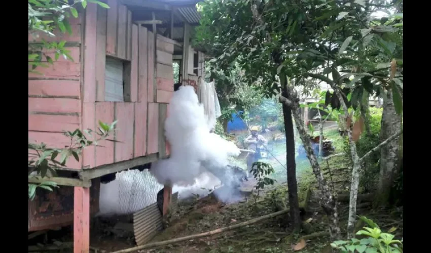 Mosquitos en Panamá