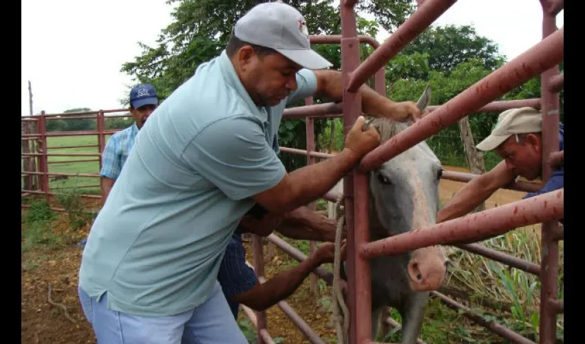 Encefalitis equina en Herrera
