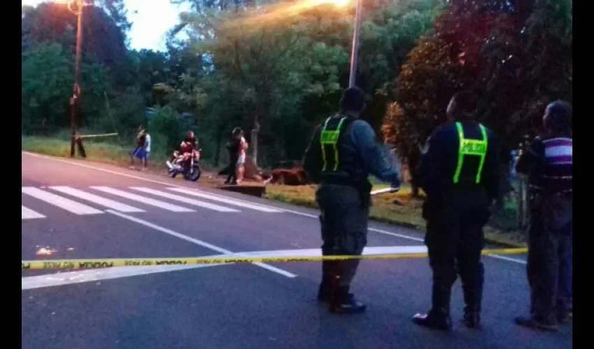 Accidente de tránsito en Chiriquí