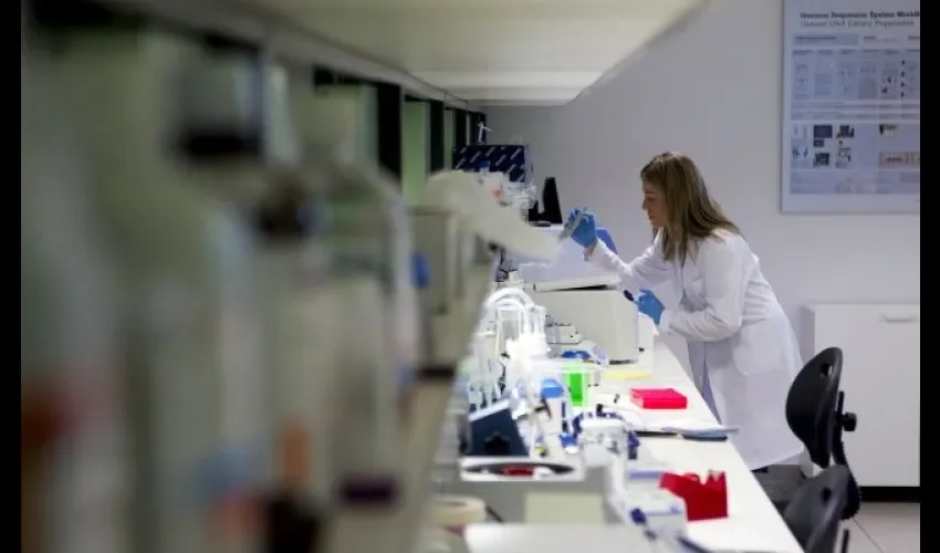 Científicos contra el Zika 