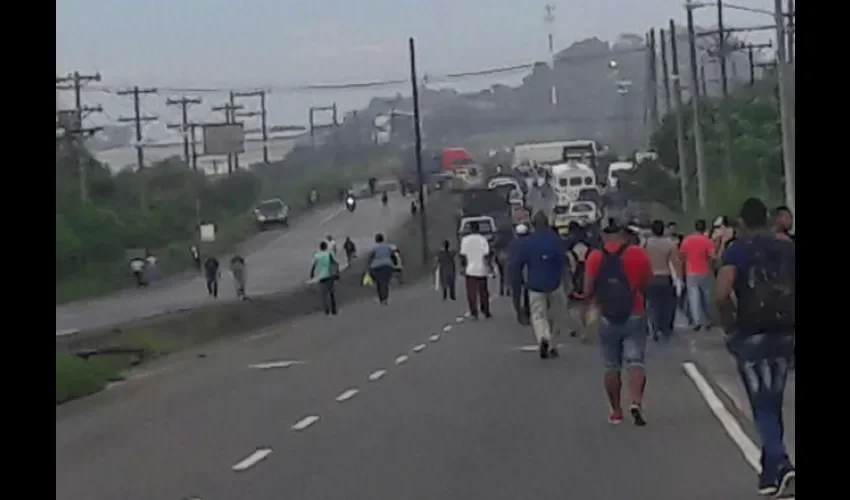 Productores de arroz de Panamá Este