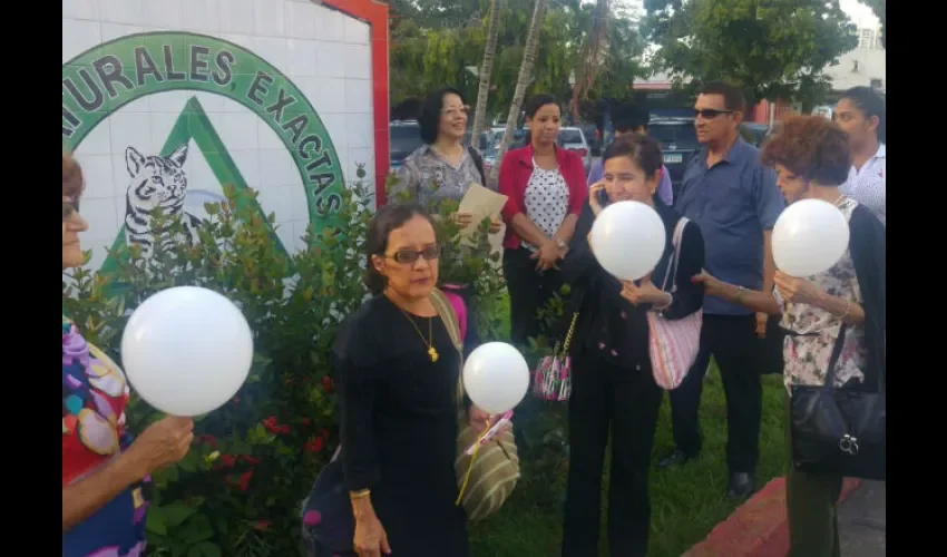 Gatos en la Universidad de Panamá