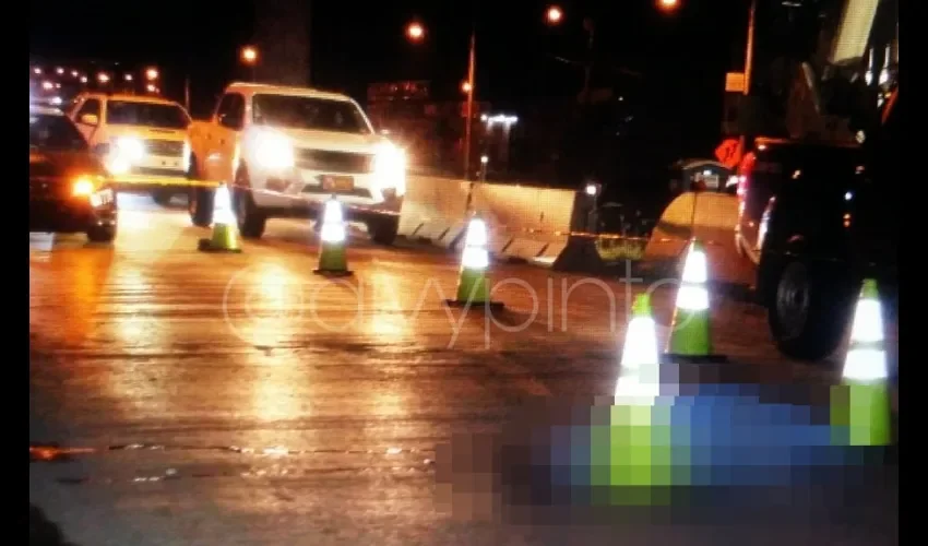 Pavo muere al caer de un bus en Tocumen 