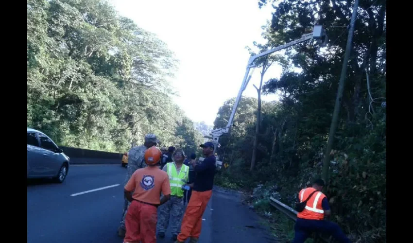 Tala y poda de árboles en  Howard-Arraiján