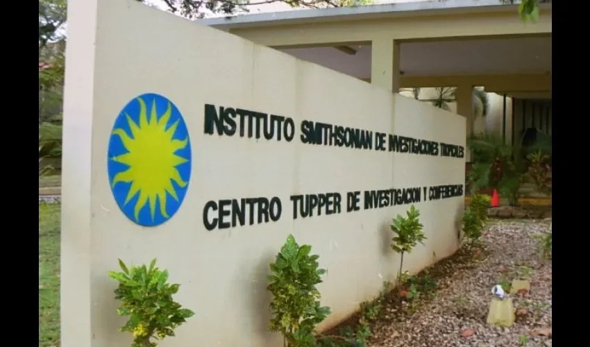  Instituto Smithsonian de Investigaciones Tropicales