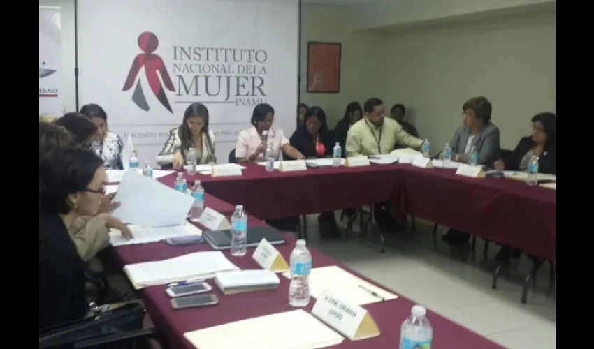 Comité Nacional Contra la Violencia en La Mujer