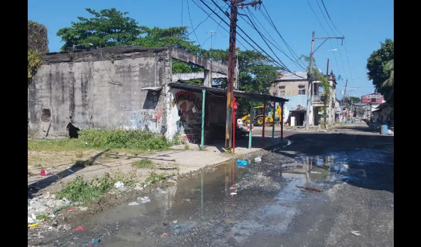  Comparsa Los Campesinos Originales de Colón 