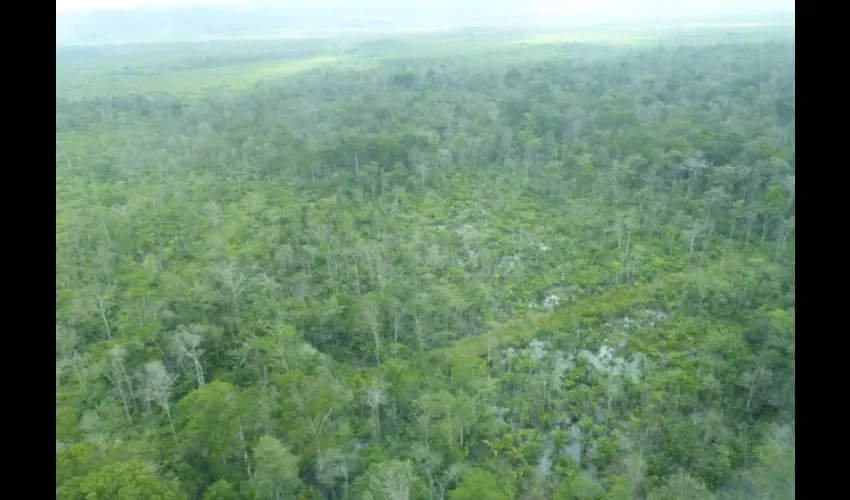 Humedal Matusagaratí