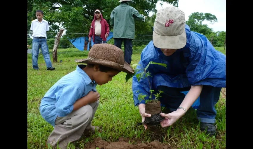 Plantas en río La Villa