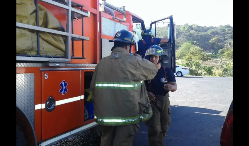 Abejas africanizadas en Panamá Oeste