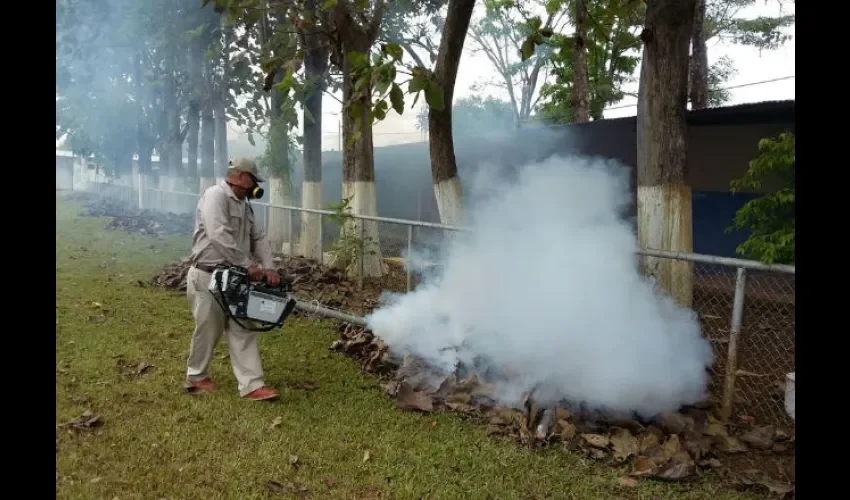 Fumigación en Herrera 