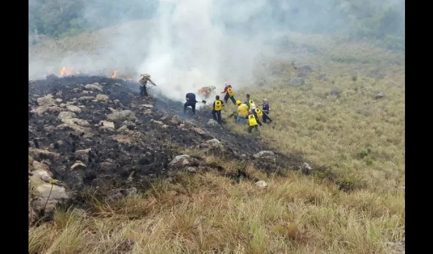 Incendio en el  Parque y Reserva Biológica de Campana. 