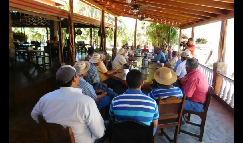 Productores de Panamá