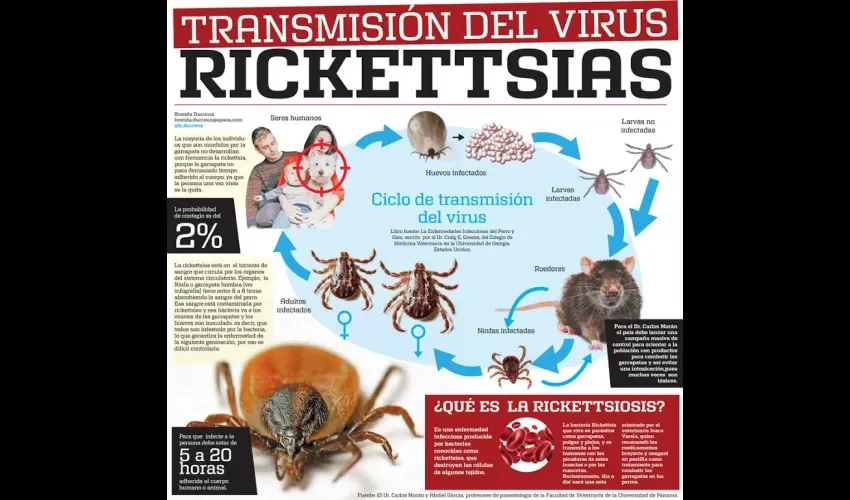 Qué es  la Rickettsiosis