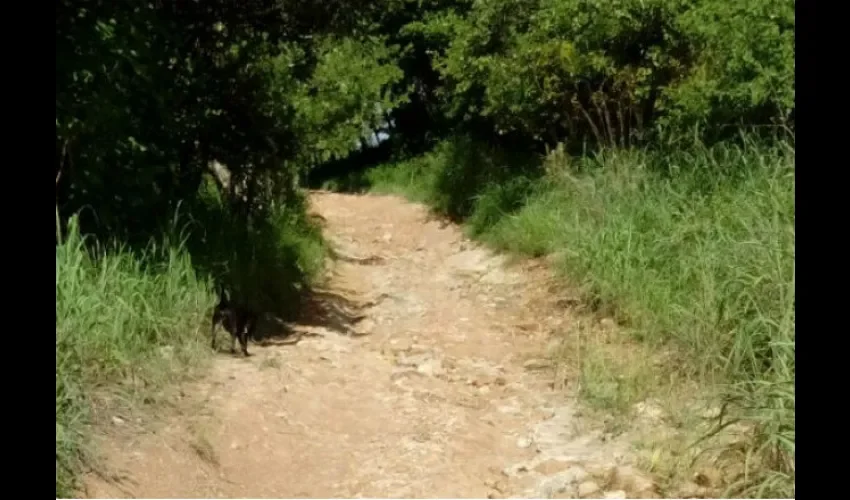 Comunidad de Larguillo de Chiguirí Arriba, lugar donde murió Daniel Cárdena