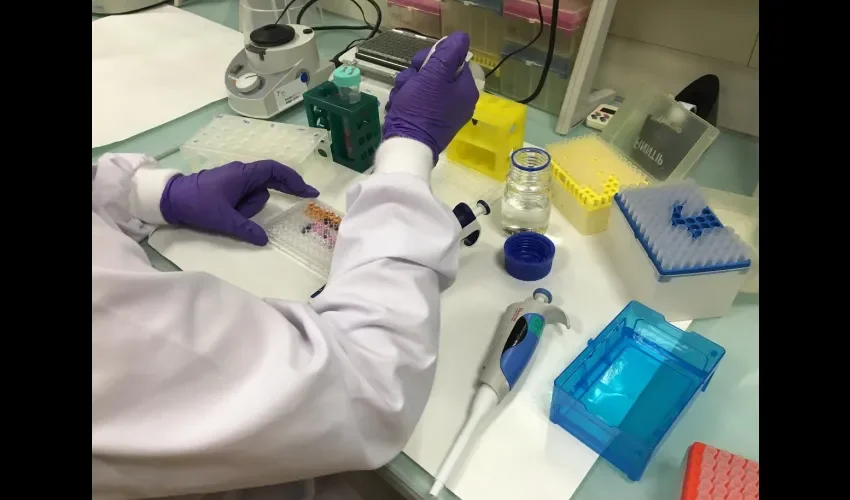  Ya existen tratamientos basados en bloquear la activación del c-Met en células cancerígenas