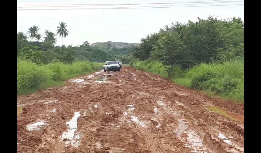 Los arroceros indican que en dos meses serán las cosechas y con estas carreteras en mal estado será imposible trasladarlas.