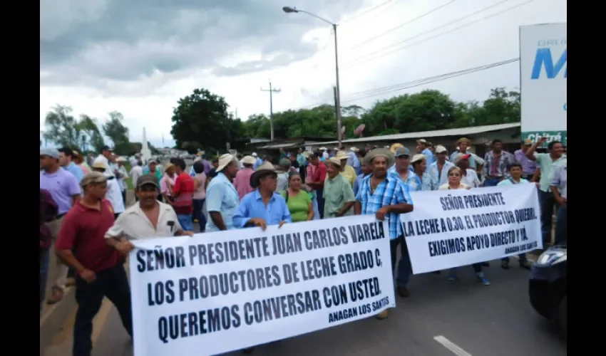 Es necesario que el gobierno pare las importaciones, según productores de leche