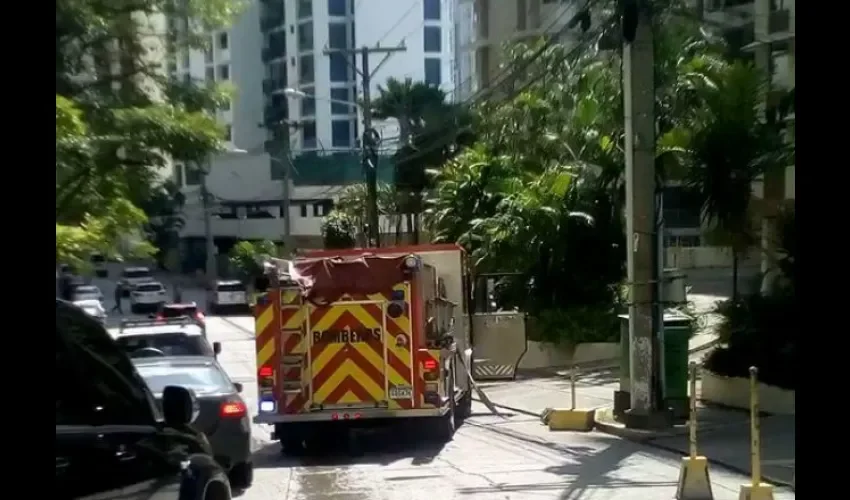 Se desconoce que pudo provocar este fuego.