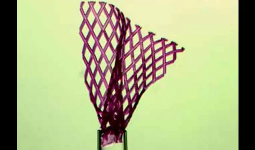 El AngioChip, fruto de tres años de trabajo