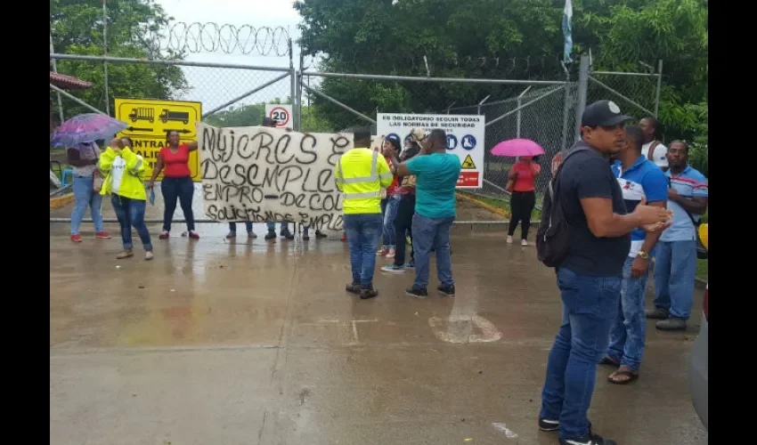 Unas  20 mujeres sería contratadas para el mes de octubre.