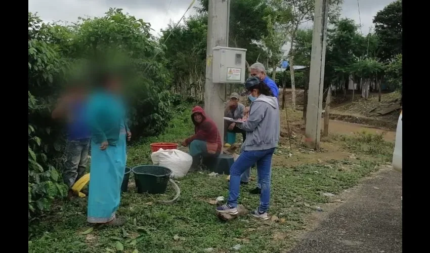 Foto ilustrativa de la recolección. 