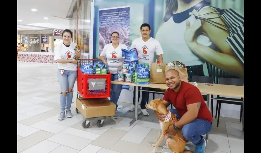 Donatón por los animales sin hogar 2022, cuenta con el respaldo de tres reconocidas fundaciones aliadas: Banco Nacional de Alimentos para Animales Rescatados (BANAPAR), Fundación Toribia Rodríguez de Escudero y Fundación Spay/Panama.