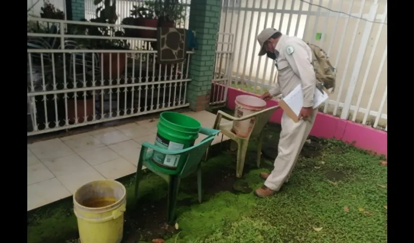 Inspectores realizan búsqueda de criaderos.