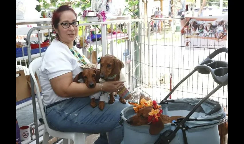 Vista de los especialistas con las mascotas. 