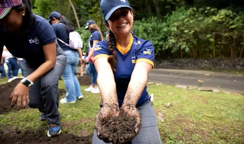 La misión de Tigo es crear autopistas digitales. Foto / Tigo.