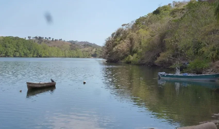 Vista del área del hallazgo. 