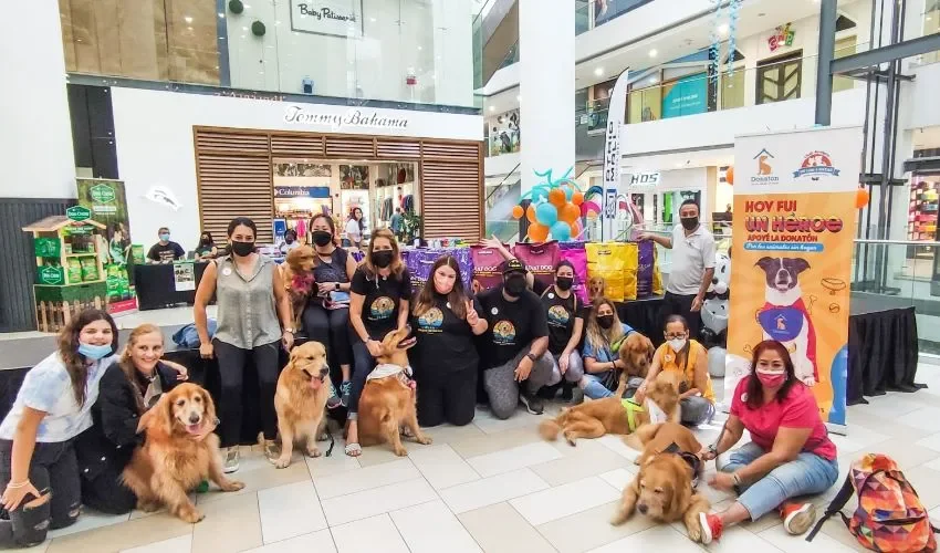 Participantes de otras actividades en pro de los animales. 