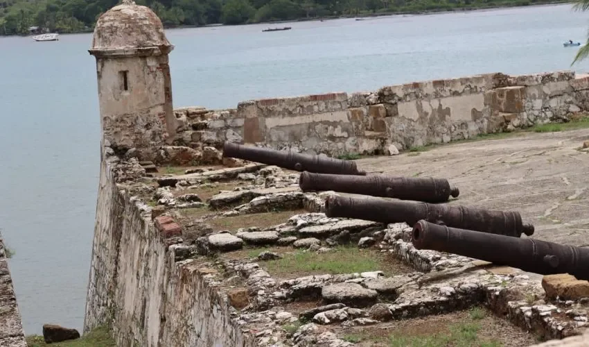 Se espera que el proyecto sea prioridad con la nueva directiva. 