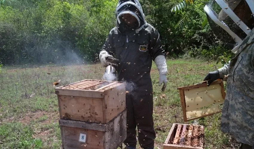 La producción genera un buen ingreso. 