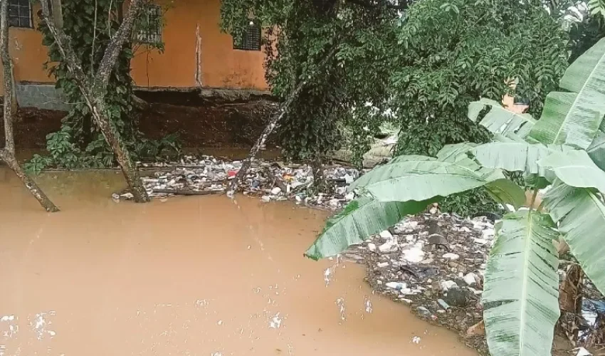 Foto: Sinaproc. 