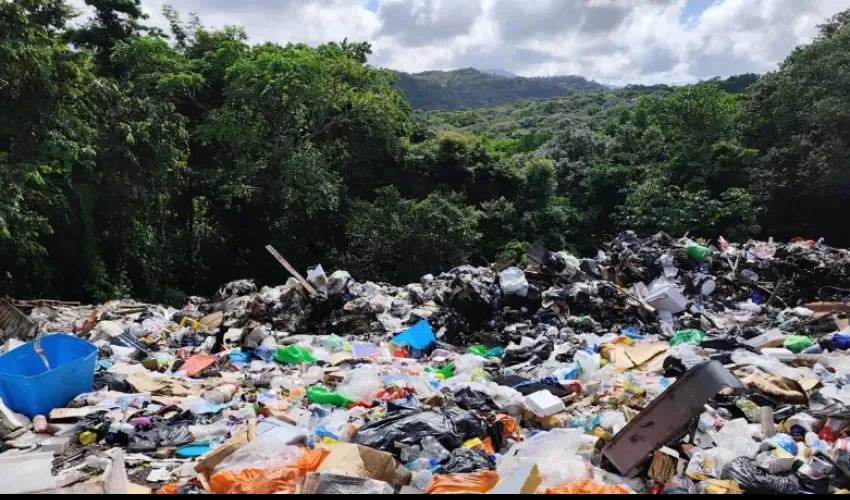 Foto: Diómedes Sánchez. 