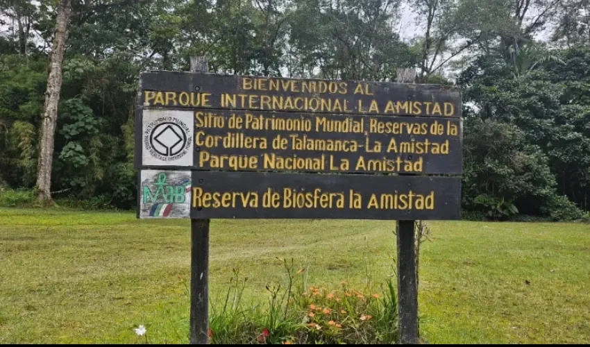 Foto ilustrativa Mi Ambiente. 