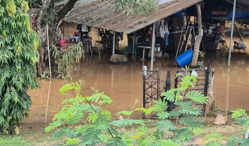 Foto: Thays Domínguez.