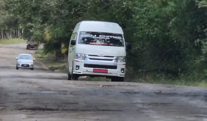 Foto: Thays Domínguez. 