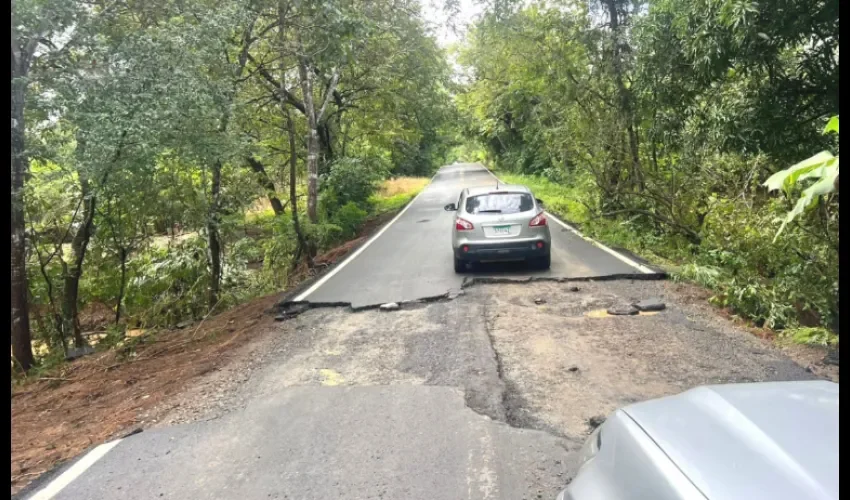 Foto: Thays Domínguez.