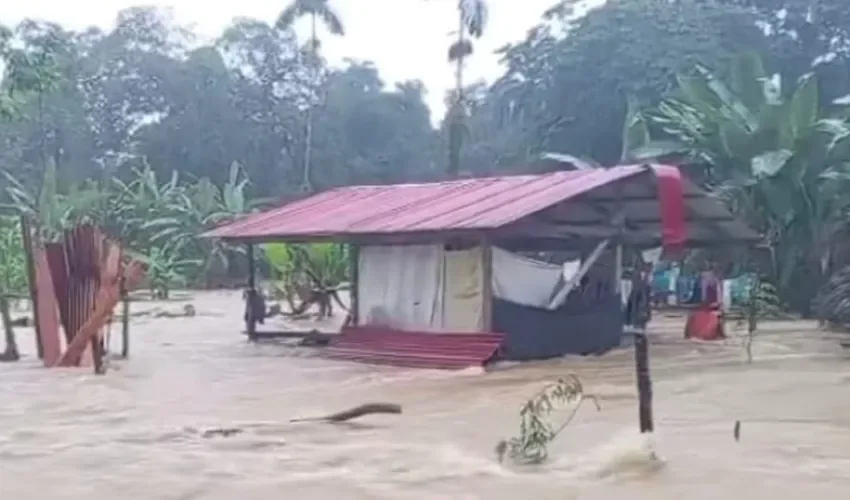 Foto: Diómedes Sánchez. 