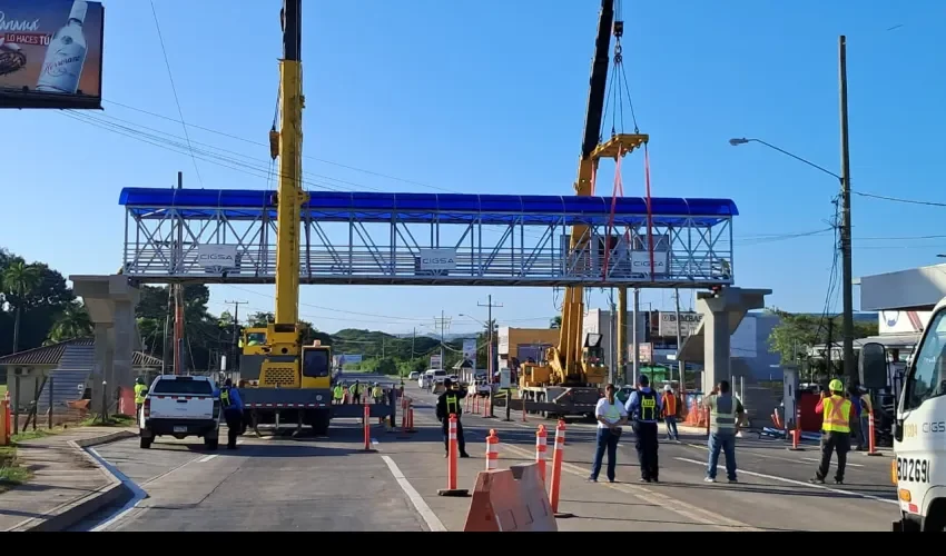 Foto: Thays Domínguez. 