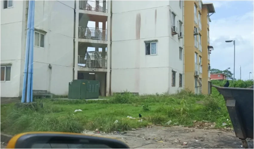 Foto: Diómedes Sánchez. 